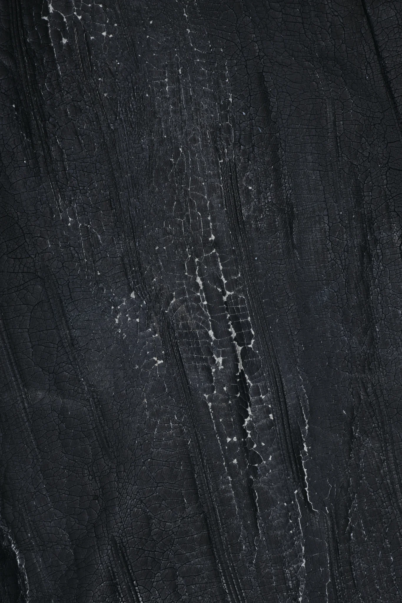 Rock Revival Moto Wax Jeans